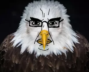 1739149983352.png