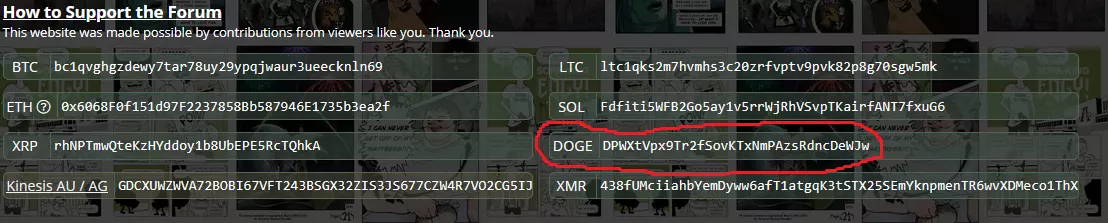 doge.png