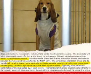 1739180915272.png 1739180915272.png