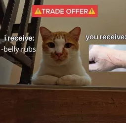 1739195702134.jpeg