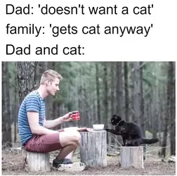 1739195944072.png