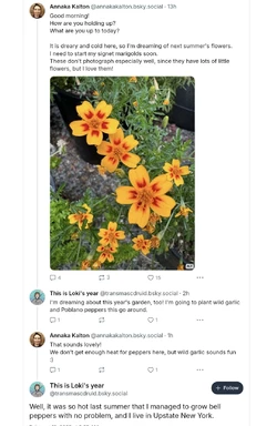 Screenshot_20250210-044401-cleaned.jpg