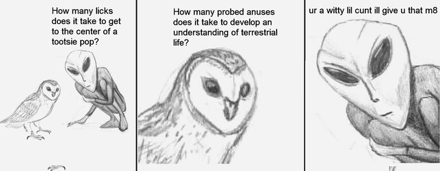 1697561077671394.jpg