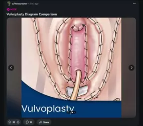 Screenshot 2025-02-10 193042.png