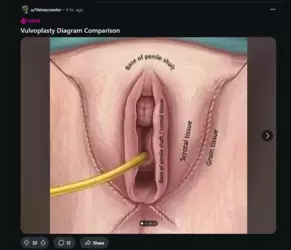 Screenshot 2025-02-10 193031.png