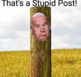 1739298631334.png