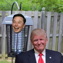 muskzapper.png