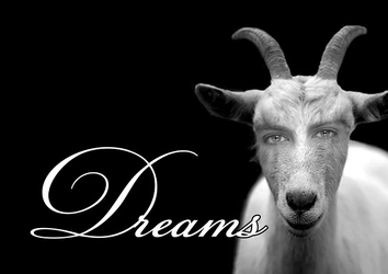 dream-421769_640.jpg