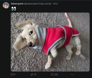 Screenshot 2025-02-11 at 23-28-55 Saberspark (@saberspark.bsky.social) — Bluesky.png