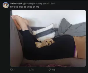 Screenshot 2025-02-11 at 23-28-48 Saberspark (@saberspark.bsky.social) — Bluesky.png