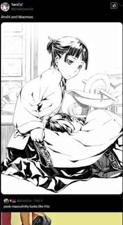 Jinshi Mao Mao.png