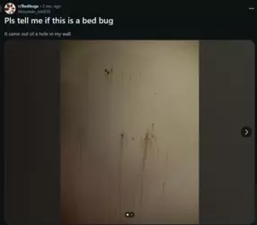 1739353661491.png