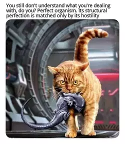 1f22787df996a439.png