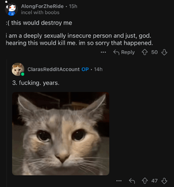 IMG_1466.jpeg