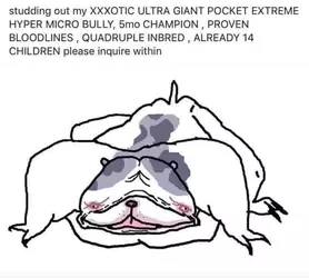 1739390198033.png