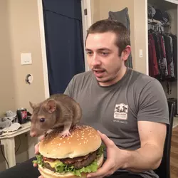 ratburger.png