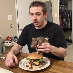 rat buford.png