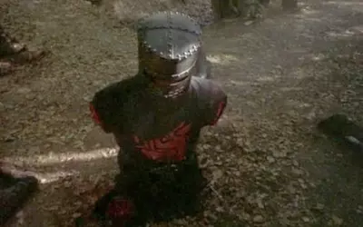 fleshwound.jpeg