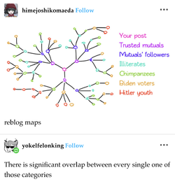 IMG_8471.jpeg