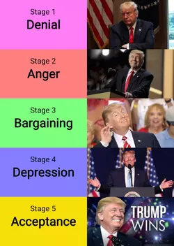 5 Stages of Dealing with Trump.jpg