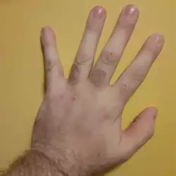 Gordo 3.jpg