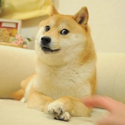 1739464610874.jpeg