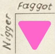 pink triangle.jpg