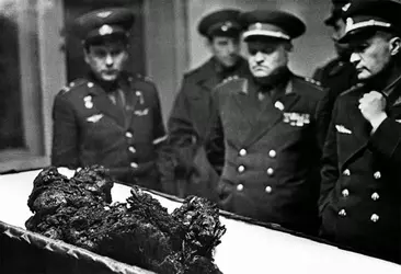 dnjfutnfh9v81.jpg