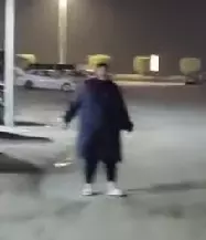 1739481595670.png