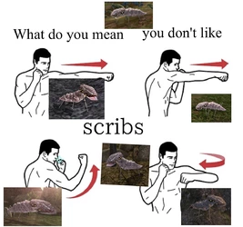 scribs.jpg