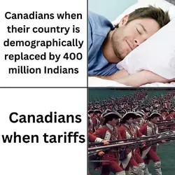 1739495597393.png