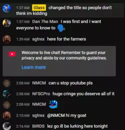 chat.PNG