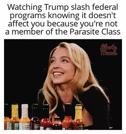 1739500778804.png
