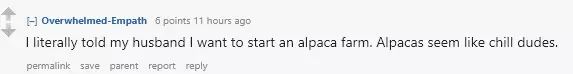 1739543077329.png