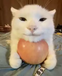 1739223191048892.jpg