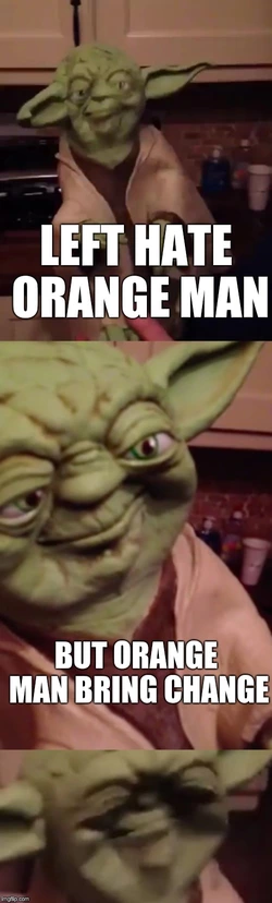 1739555237831.jpeg