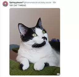1739557207640.png