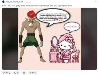 Screenshot 2025-02-14 at 15-24-24 StraightTransGirls.png