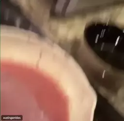 blood 2.webp