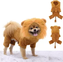 roar.jpg