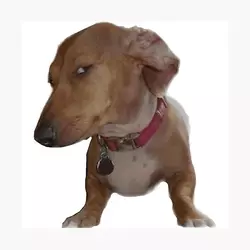 1739671547705.png