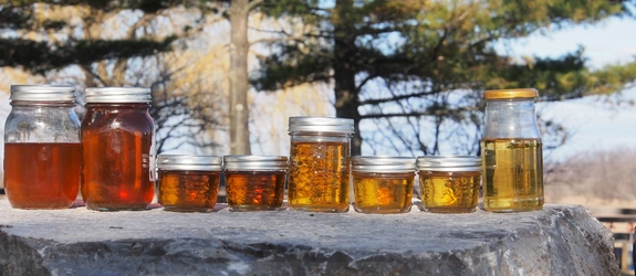 Maple Syrup.jpg