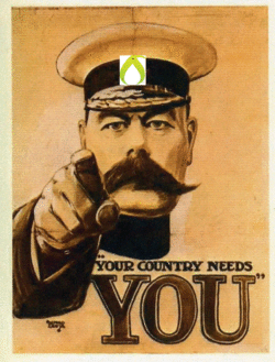 your kiwi needs you.gif
