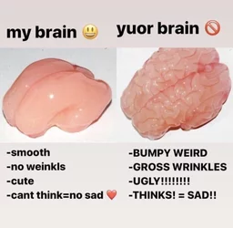 smoothbrain.jpg