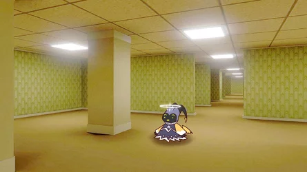 1733325243955203.jpg