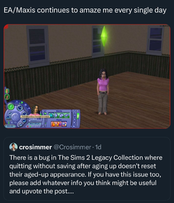IMG_8372.jpeg