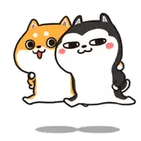 husky-and-shiba-can-can.webp