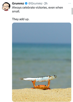 IMG_7034.jpeg