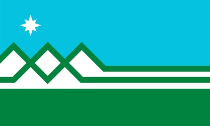 bradley lockhart washington flag.jpg