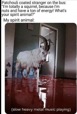 spirit animal.jpg